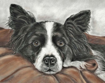 May include: A black and white border collie dog with brown eyes is lying on a brown blanket. The dog's head is resting on the blanket, and its ears are perked up.