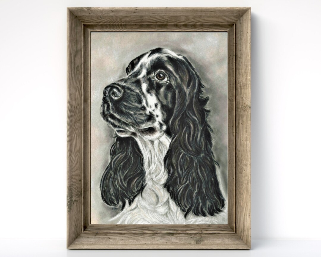 Cocker Spaniel Art Print: Black and White Dog Portrait, Various Sizes ...