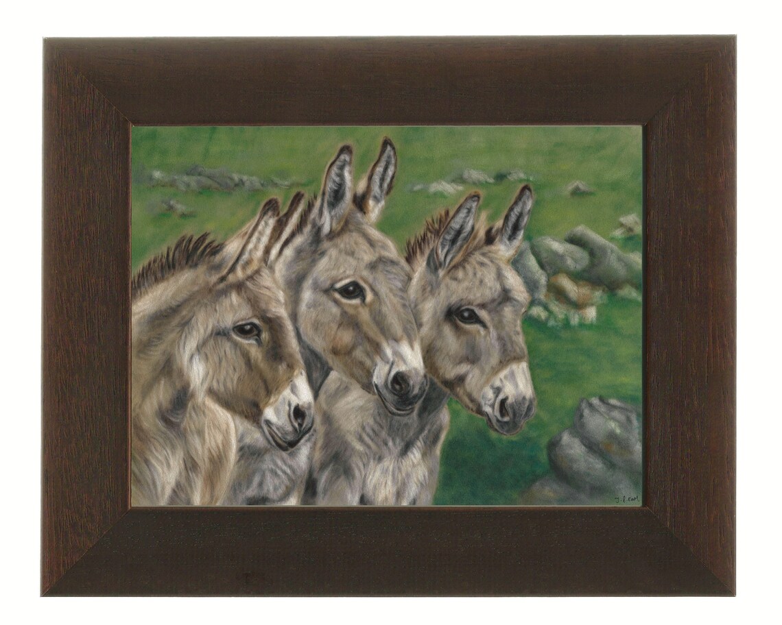 Framed Print Donkey Print Donkey Gifts Donkey Art Etsy