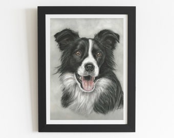 Border Collie Pastel Art Print: 'Collie Expressions' Wall Decor