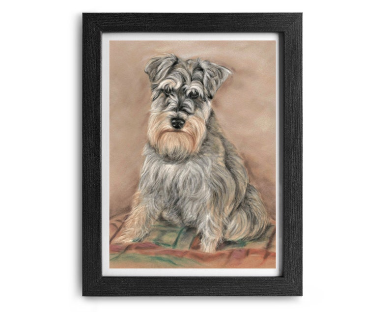 miniature schnauzer stuff