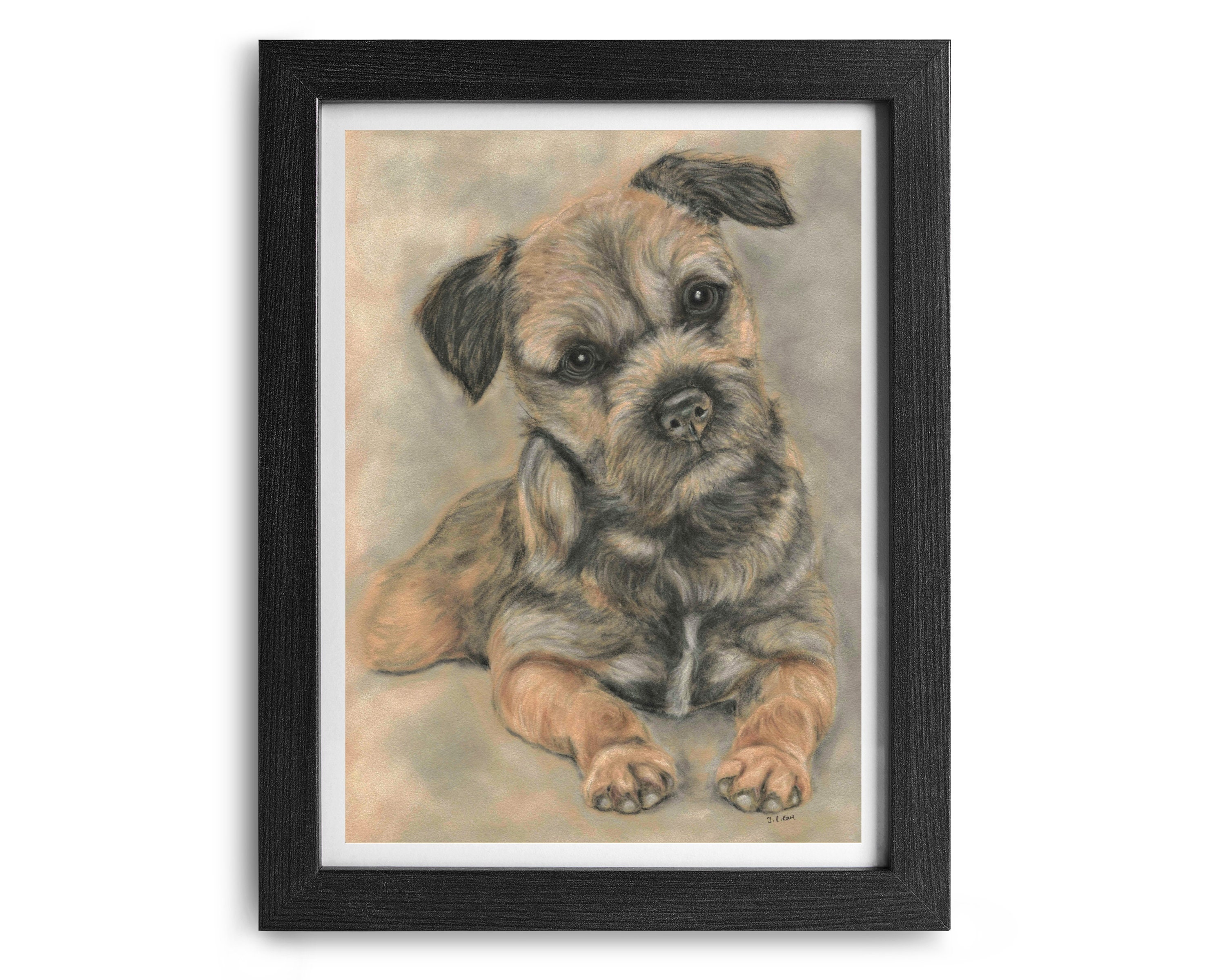 border terrier accessories