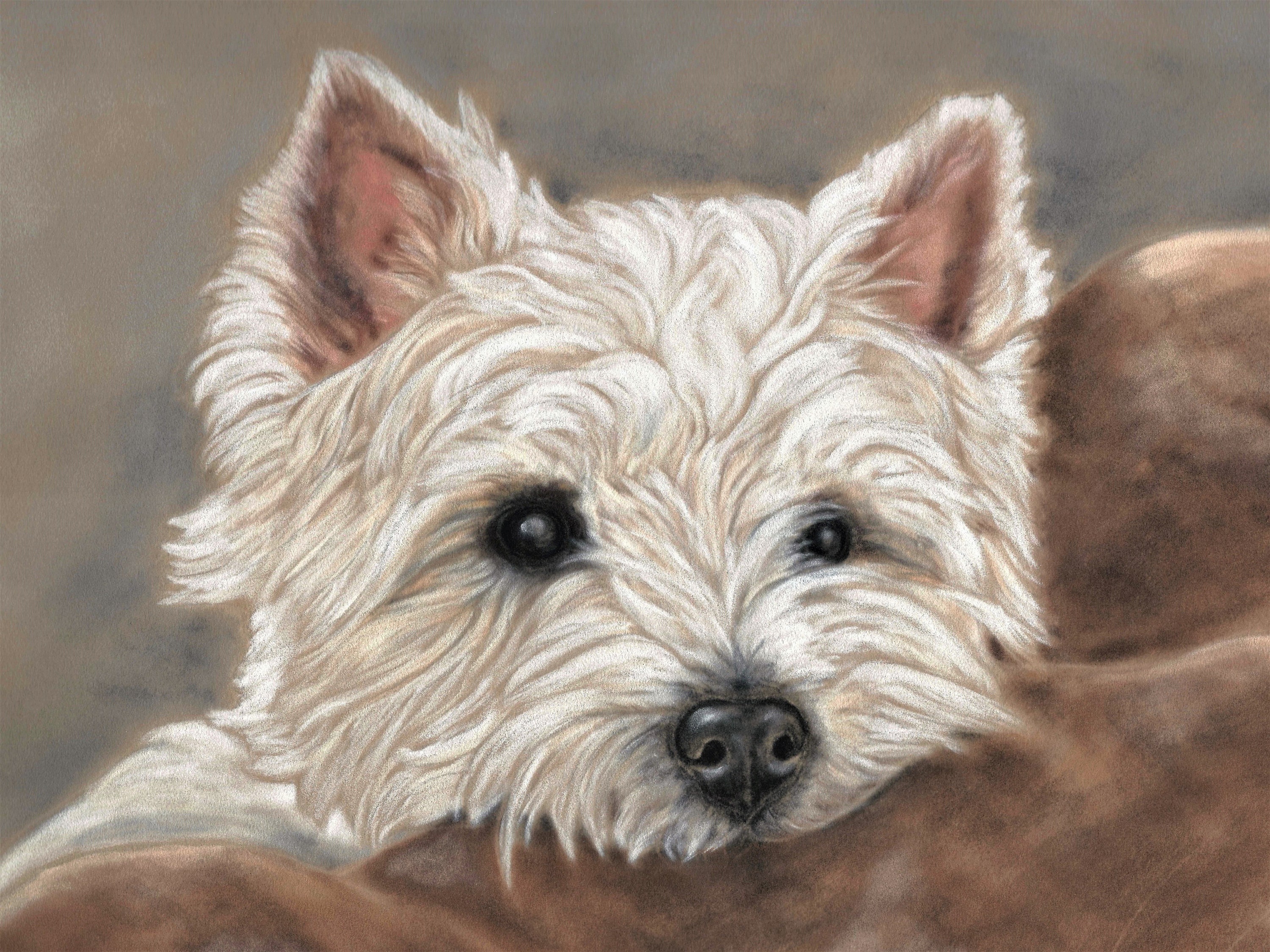 Westie gifts sale