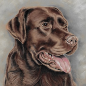 Chocolate Labrador Art Print, Brown Lab Artwork, Dog Wall Art