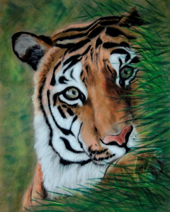 Signed Tiger Art Print: 'Hideaway' Original Animal Wall Art