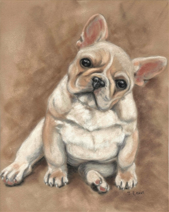 original french bulldog
