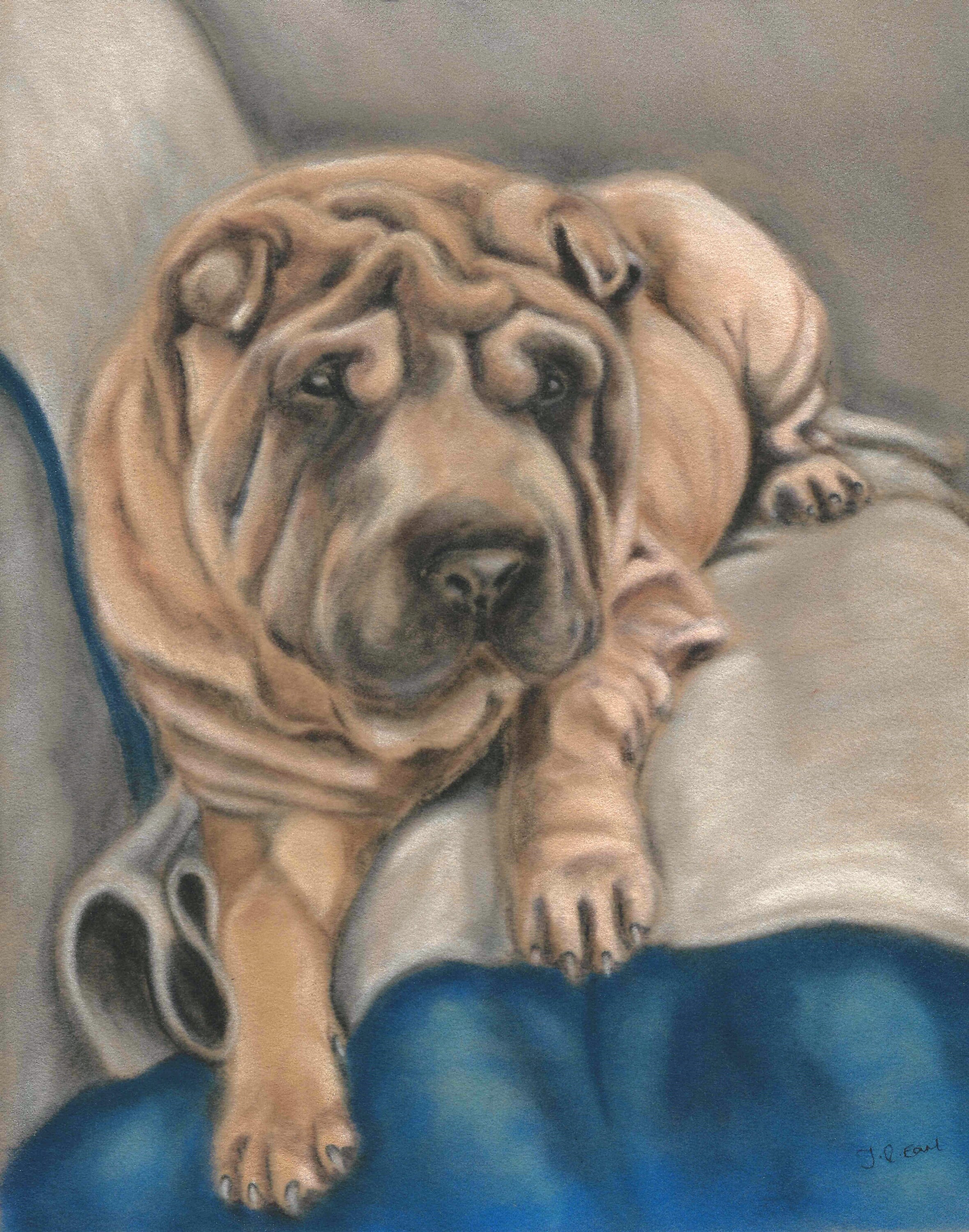 Shar Pei Shar Pei Dog Shar Pei Gifts Sharpei Print Etsy Shar Pei Shar Pei Dog Shar Pei Gifts Sharpei Print Etsy