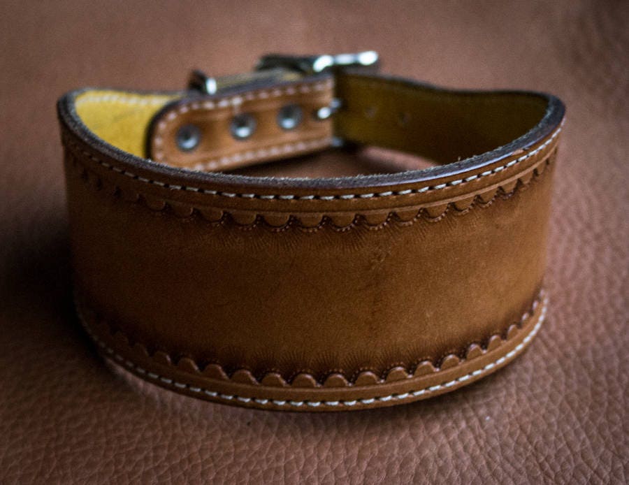 soft leather whippet collars