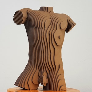 Male Torso 2