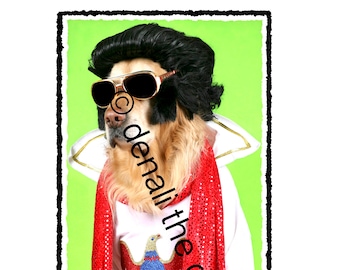 Elvis Prestley, Thank you greeting cards, Golden Retriever greeting cards, dog lovers, Dog Stationary, Thank You Card, Thank you card set