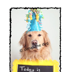 Cartes De Voeux Joyeux Anniversaire Marilyn Monroe Golden Etsy