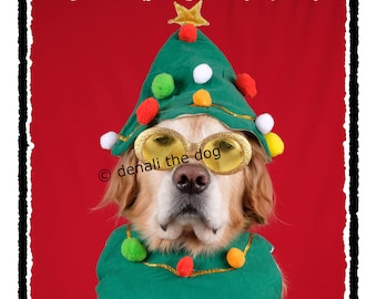 Dog Christmas Cards, Merry Christmas, Funny Dog Christmas Cards, O Christmas Tree, Tree Christmas Cards, Christmas Greeting Cards, Card Sets