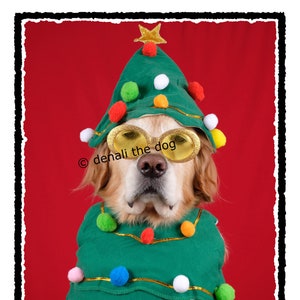 Hunde Weihnachtskarten, Frohe Weihnachten, Lustige Hunde Weihnachtskarten, O Tannenbaum, Baum Weihnachtskarten, Weihnachtsgrußkarten, Kartensets