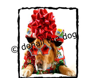 Golden Retriever Christmas Card - Etsy UK