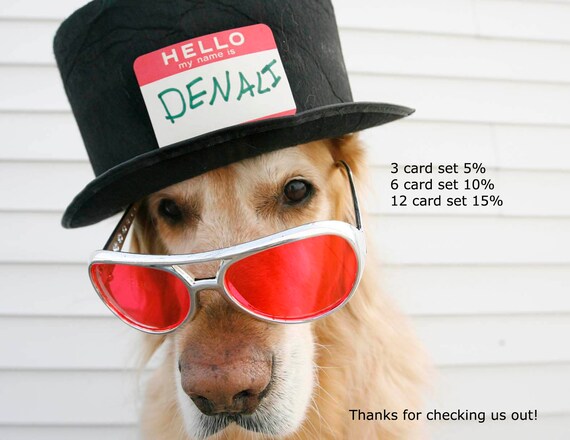 dog maga hat