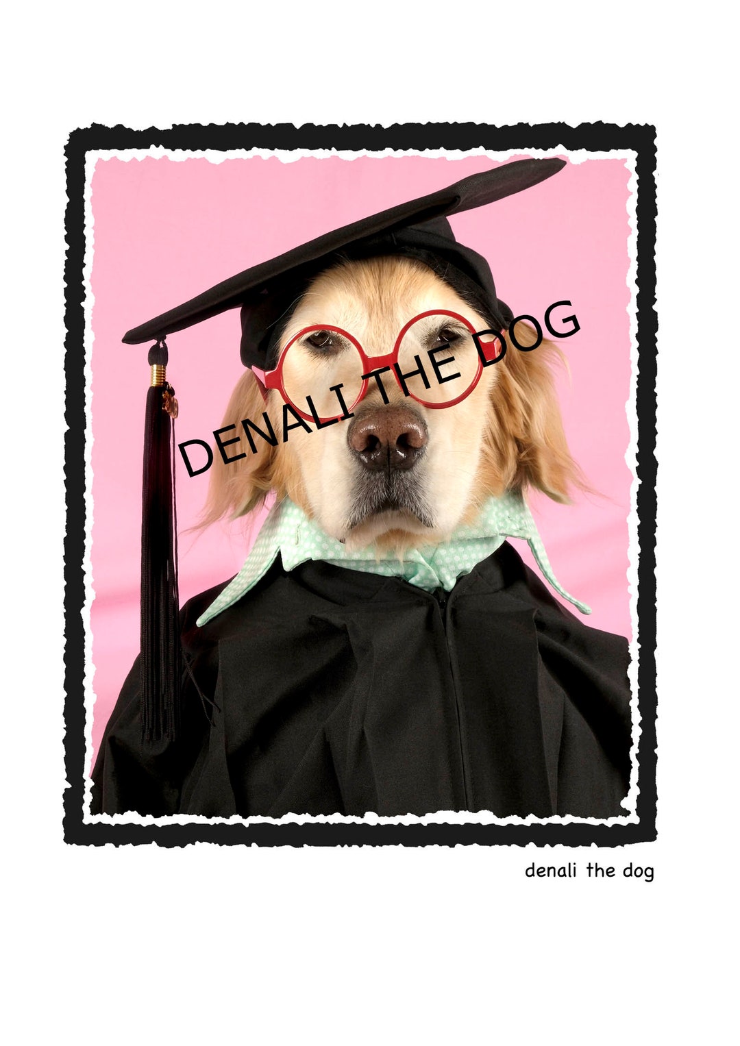 Funny Graduation Card Funny College Graduation Gift Card Funny Etsy