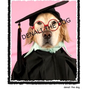 Funny Graduation Card Funny College Graduation Geschenkkarte Funny High School Graduation Card Funny Dog Graduation Card Grad, Hundeabschluss