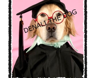 Funny Graduation Card Funny College Graduation Gift card Funny High School Graduation Card Funny Dog Graduation Card Grad, dog graduation