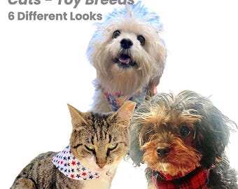 Extra Small Pet Bandanas – Reversible Cotton, Includes Collar (Set of 3)