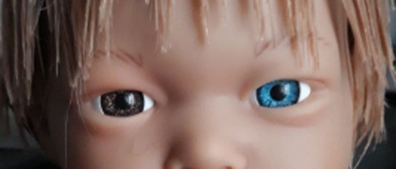20mm BJD/ Reborn Doll Eyes 1 Pair Gray, Blue, Brown, Polymer Clay Model,  BJD, Plushie Toy Acrylic Eyes Bears Soft Doll Making Accessories 