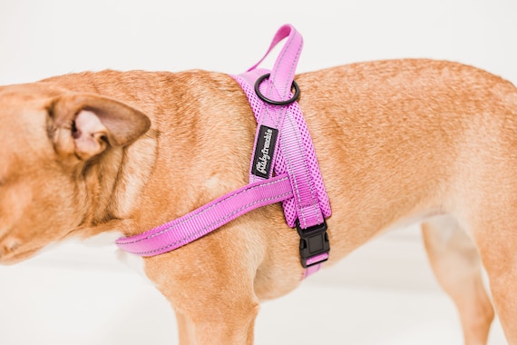 ikea dog harness