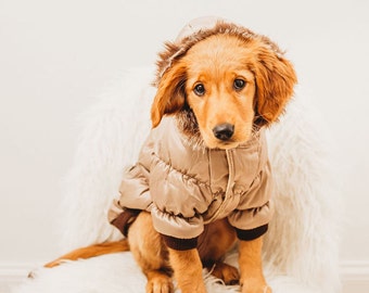 Winterjacke weinrot - Die besten Winterjacke weinrot analysiert!