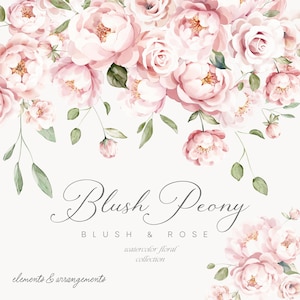 Blush Peônias Aquarela Clipart - Peônia Aquarela - Peônias Clipart - Rosa e Blush - Clipart Floral - Clipart Aquarela - Clipart de Casamento