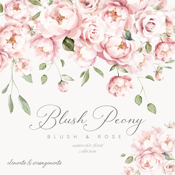 Blush Peonies Watercolor Clipart - Watercolor Peony - Peonies Clipart - Rose & Blush - Floral Clipart - Watercolor Clipart - Wedding Clipart