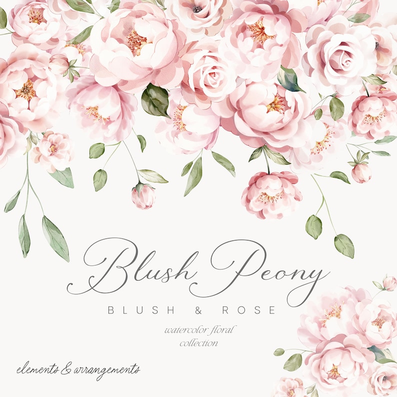 May include: Watercolor illustration of blush pink peonies and roses with green leaves. The text "Blush Peony" and "Blush & Rose watercolor floral collection" is below the flowers.