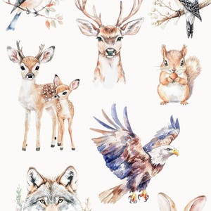 May include: Watercolor illustrations of forest animals, including a deer, a wolf, a squirrel, a rabbit, a bluebird, a woodpecker, and an eagle. The illustrations are in a whimsical style and are perfect for adding a touch of nature to any project.