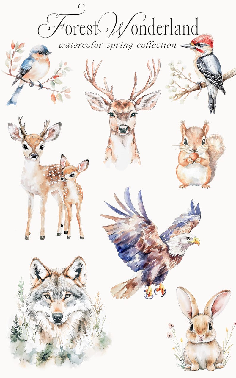 May include: Watercolor illustrations of forest animals, including a deer, a wolf, a squirrel, a rabbit, a bluebird, a woodpecker, and an eagle. The illustrations are in a whimsical style and are perfect for adding a touch of nature to any project.