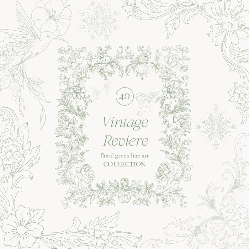 Op de afbeelding: Een lichtgroene bloemenlijnkunstcollectie met een vintage thema. Het ontwerp toont een rechthoekig frame met bloemen en bladeren, en de tekst "Vintage Reviere". Extra bloemen- en kolibrie-illustraties zijn verspreid.