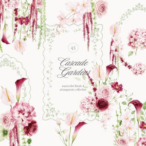 Puede incluir: Una colección de ilustraciones florales en acuarela con rosas rosas y rojo oscuro, calas, hortensias y amaranto colgante. El conjunto incluye marcos decorativos y el texto 45 Cascade Gardens watercolor florals & arrangments collection.