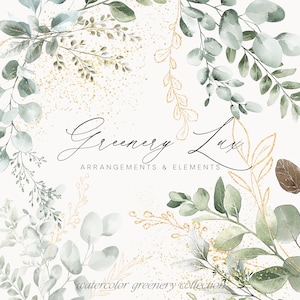 Clipart de vegetación en acuarela - Clipart de eucalipto en acuarela - Follaje dorado - Clipart de boda - Clipart - Clipart prediseñado - Clipart de acuarela