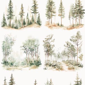 May include: A set of six watercolor illustrations featuring different forest scenes. The illustrations depict various types of trees, including pine, fir, and deciduous trees, in a variety of arrangements. The illustrations are painted in shades of green, brown, and white, and they create a sense of peace and tranquility.