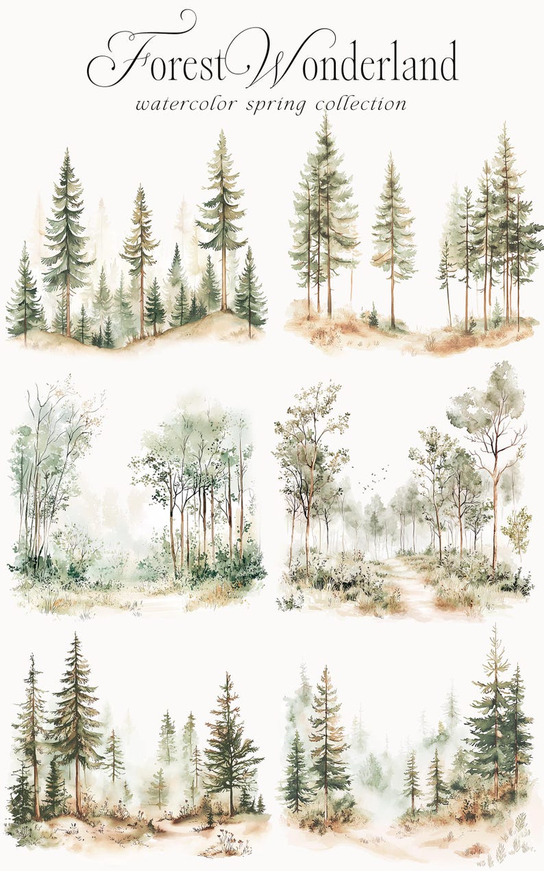 May include: A set of six watercolor illustrations featuring different forest scenes. The illustrations depict various types of trees, including pine, fir, and deciduous trees, in a variety of arrangements. The illustrations are painted in shades of green, brown, and white, and they create a sense of peace and tranquility.