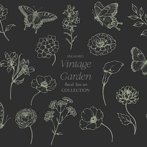 May include: A collection of vintage floral line art illustrations, including flowers and butterflies, in a delicate cream color on a dark gray background. The text "Vintage Garden floral line art collection" is also included.