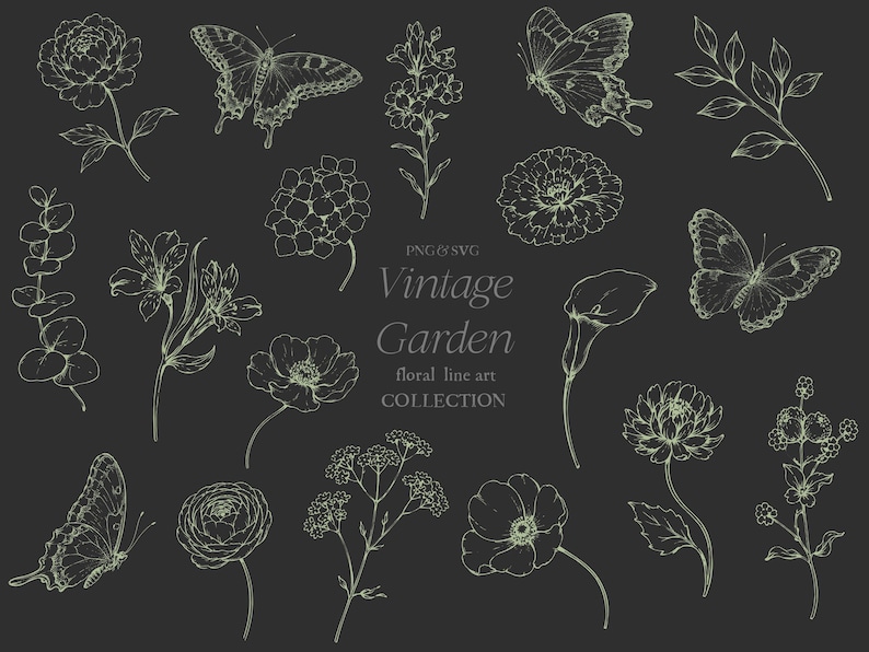 May include: A collection of vintage floral line art illustrations, including flowers and butterflies, in a delicate cream color on a dark gray background. The text "Vintage Garden floral line art collection" is also included.