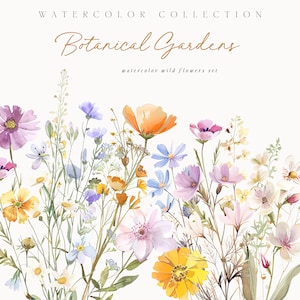 Clipart de flores silvestres em aquarela - Clipart floral selvagem - Clipart aquarela - Clipart de casamento - Clipart pré-fabricado - Buquês florais - Bordas florais