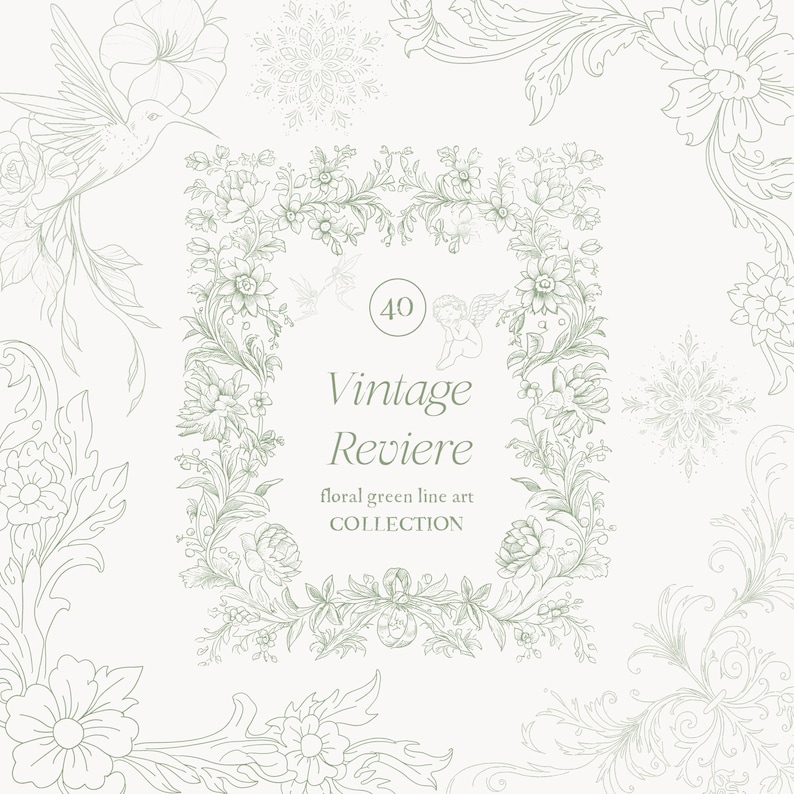 Op de afbeelding: Een lichtgroene bloemenlijnkunstcollectie met een vintage thema. Het ontwerp toont een rechthoekig frame met bloemen en bladeren, en de tekst "Vintage Reviere". Extra bloemen- en kolibrie-illustraties zijn verspreid.