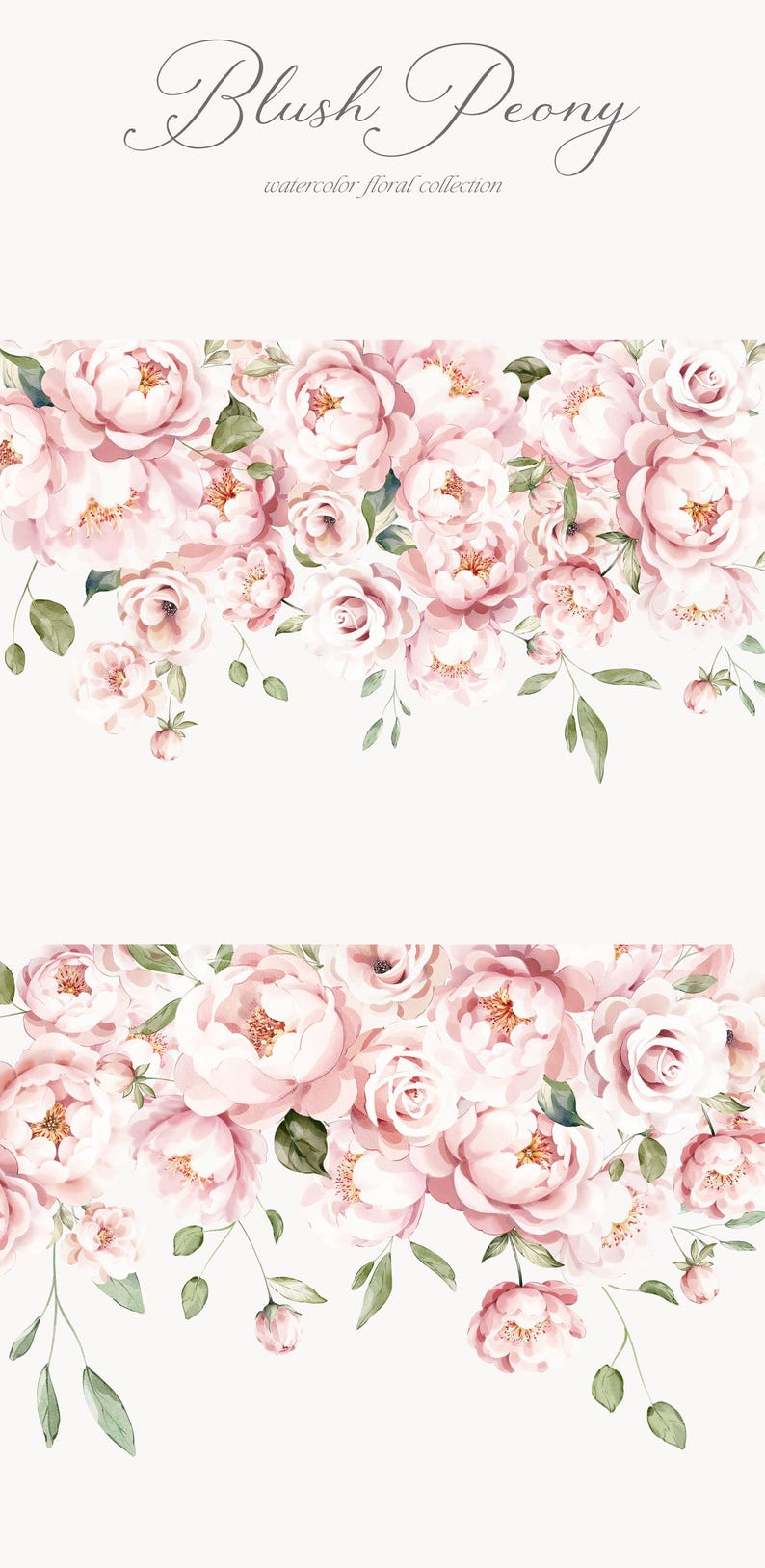 May include: A watercolor illustration of a border of blush pink peonies and greenery. The text "Blush Peony watercolor floral collection" is at the top of the image.