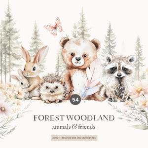 Animais da floresta em aquarela - Animais da floresta Clipart - Florestas Clipart - Berçário Clipart - Scrapbooking Clipart - Animais da floresta Clipart