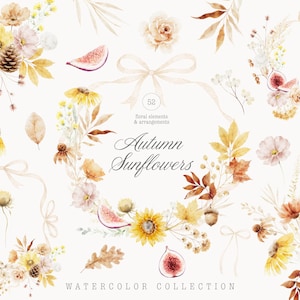 May include: Watercolor collection featuring floral elements and arrangements. The image includes sunflowers, roses, leaves, figs, and acorns in shades of yellow, orange, and brown. Text reads "Autumn Sunflowers" and "Watercolor Collection".