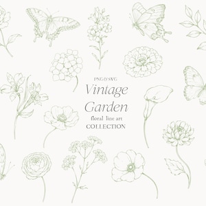 May include: A collection of vintage floral line art illustrations in a soft green hue. The image features detailed drawings of flowers, butterflies, and foliage, with the text "Vintage Garden floral line art collection".