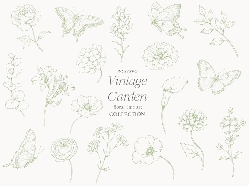 May include: A collection of vintage floral line art illustrations in a soft green hue. The image features detailed drawings of flowers, butterflies, and foliage, with the text "Vintage Garden floral line art collection".
