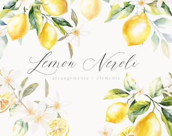 May include: Watercolor illustration of lemon blossoms and lemons, with the text "Lemon Neroli arrangements + elements watercolor floral collection".