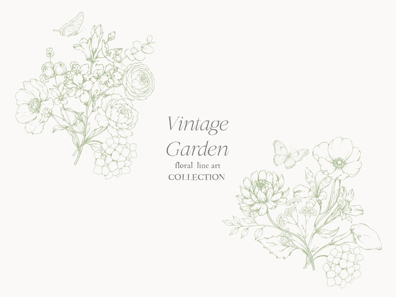 May include: A vintage-style illustration featuring two floral bouquets and two butterflies in a delicate green outline. The text "Vintage Garden" is displayed in elegant script, with "floral line art collection" below.