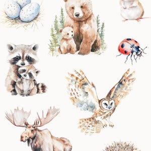 May include: Watercolor illustrations of forest animals, including a bear and cub, raccoon and cub, owl, moose, hedgehog, ladybug, mouse, and bird eggs in a nest. The illustrations are in shades of brown, gray, white, and red.