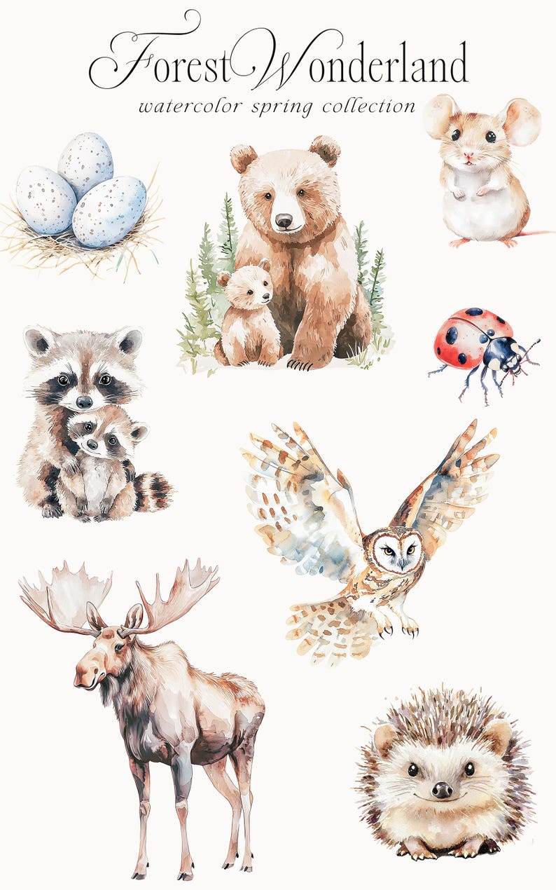 May include: Watercolor illustrations of forest animals, including a bear and cub, raccoon and cub, owl, moose, hedgehog, ladybug, mouse, and bird eggs in a nest. The illustrations are in shades of brown, gray, white, and red.