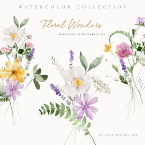 Aquarell Wildblumen Clipart - Aquarell Clipart - Wildblumen Clipart - Hochzeit Clipart - Florale Elemente - Blumen